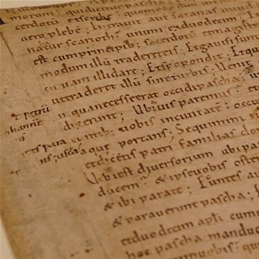 A close-up photograph of parchment with Anglo-Saxon writing on. The parchment is a light orange/brown