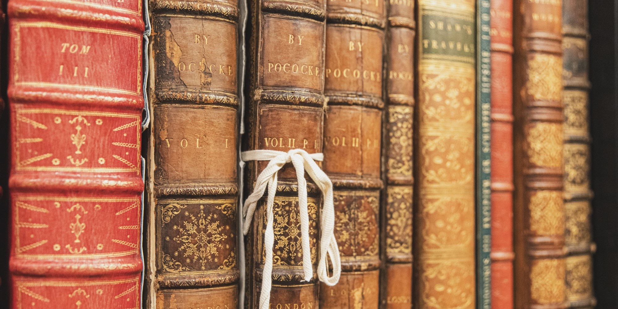 A row of leather-bound books on a shelf 