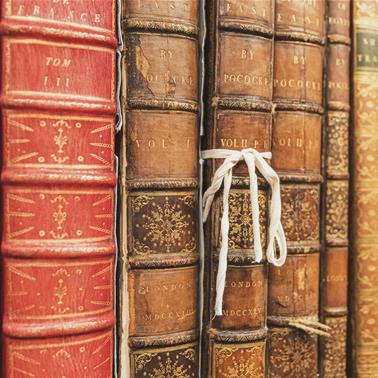 A close up of leather bound books on a shelf